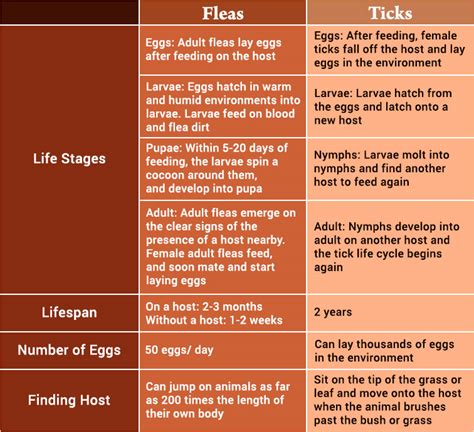 Protect Your Pet: Break the Flea and Tick Cycle - PetCareSupplies Blog