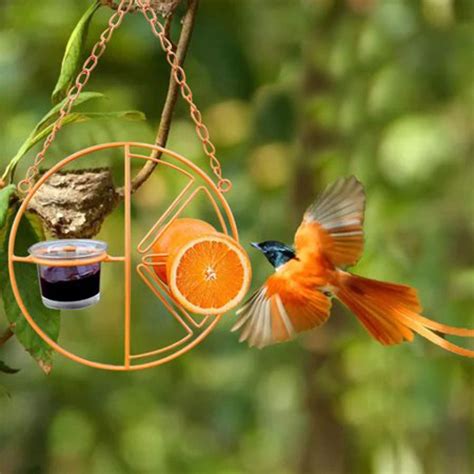 2 in 1 Hanging Clementine Hummingbird Oriole Feeder