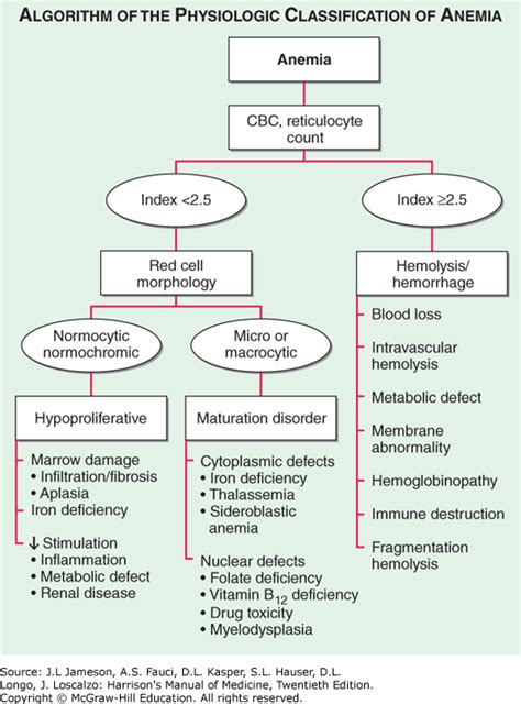 ANEMIA | Harrison's Manual of Medicine