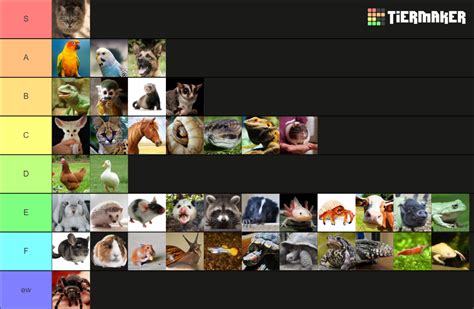 ULTIMATE PET TIER LIST Tier List (Community Rankings) - TierMaker