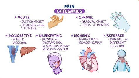 Physiology of pain: Nursing - Osmosis Video Library