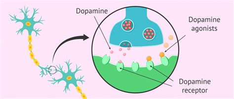 Treatment of hyperprolactinemia with dopamine agonists