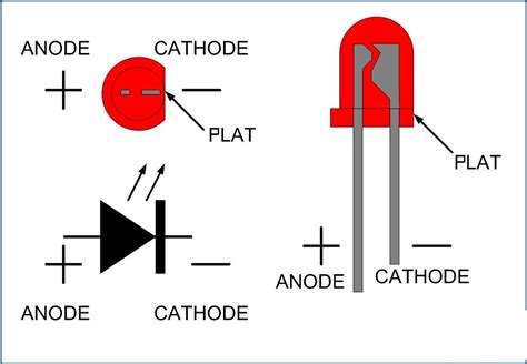 Led diode anode cathode - boHopX