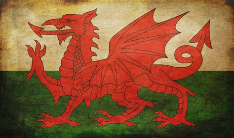 Wales National Flag - Amazon.com : Wales Flag 3 x 5 Brand NEW 3x5 Welsh ...