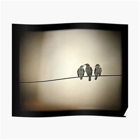 "Three Little Birds" Poster by pmistric | Redbubble