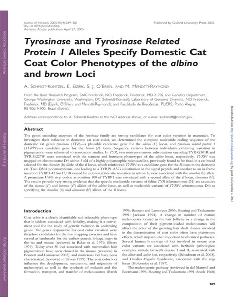 Tyrosinase and Tyrosinase Related Protein 1 Alleles Specify