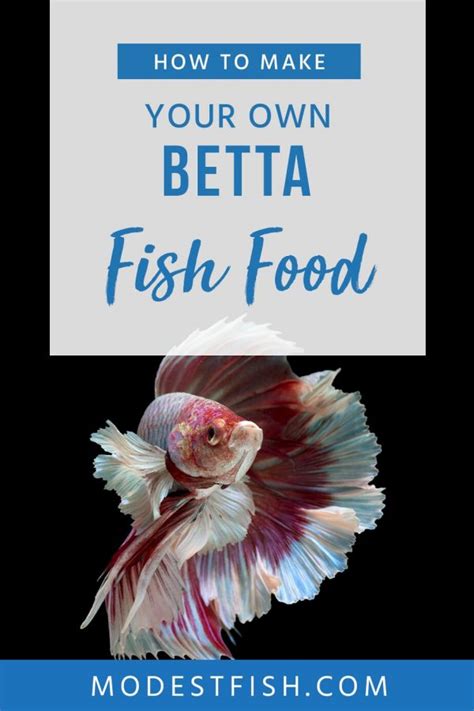 Best Betta Food: Provide the Optimal Diet for Your Betta (2019 Update)