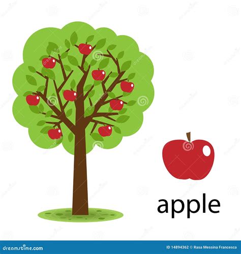 Apple Tree Stock Photography - Image: 14894362