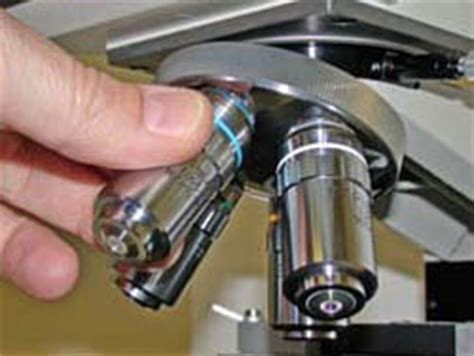 How to Parfocal Microscope Objectives | Microscope World Resources