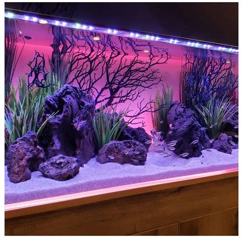 AQUAPROS (Fish Tank Mike) on Instagram: “@currentusa has some pretty ...