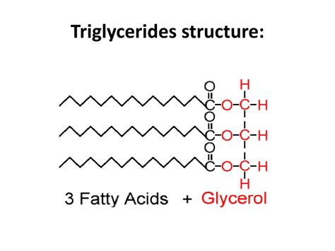 PPT - Triglycerides PowerPoint Presentation, free download - ID:4505039