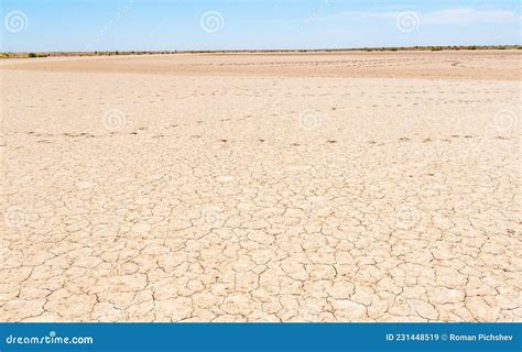 Dry river bed in drought stock image. Image of decorative - 231448519