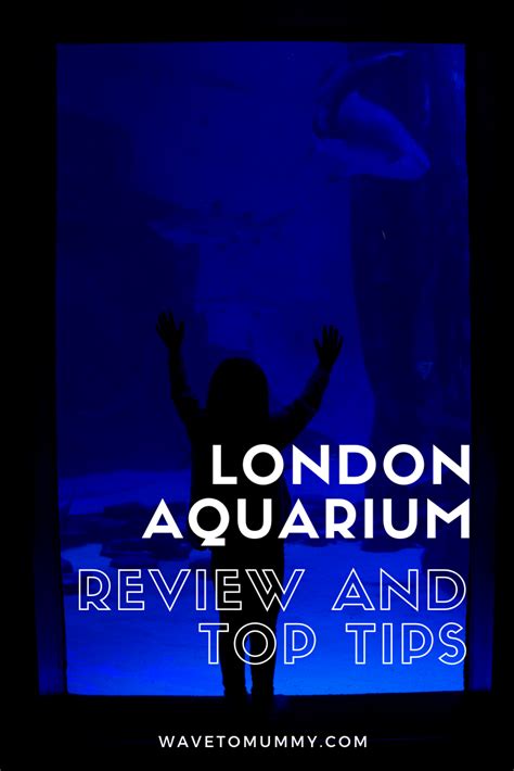 What is the SEALife London Aquarium like for kids?