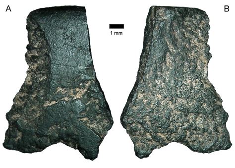 'Oldest axe' was made by early Australians - BBC News