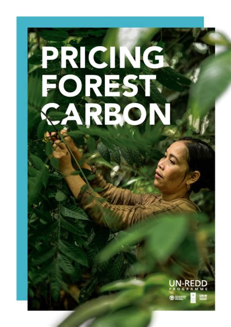 Pricing Forest Carbon | UNEP - UN Environment Programme