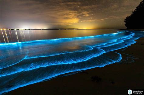 Best Time Of Year To See Bioluminescence In Maldives What Is The Best ...