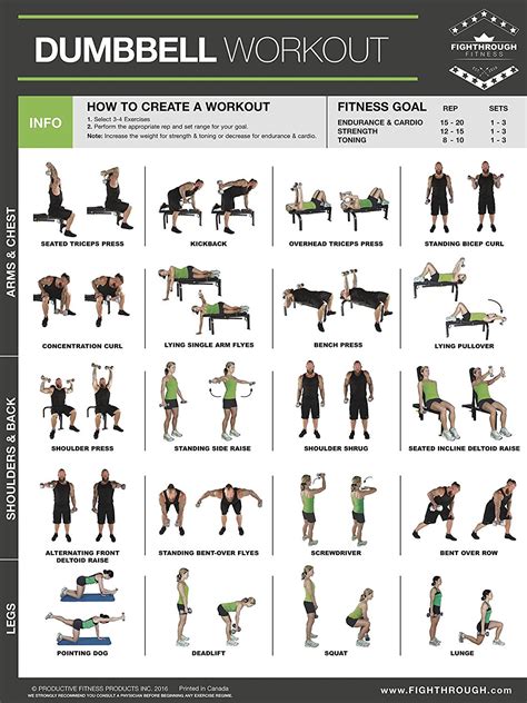 Workout Poster Dumbbell Exercise Poster Laminated, Free Weight Strength ...