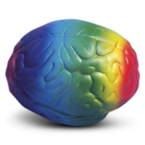 Anxiety Relief Brain Shaped Stress Ball, Foam Squeeze Ball