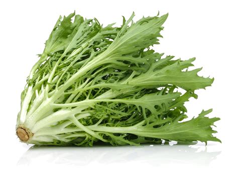 Endive, Green Curled Ruffec - Lettuce Seeds - Heirloom – Hometown Seeds