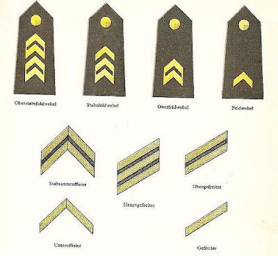 DECODED: The Cold War in Europe 1945-1995 : Structure of the Force ...