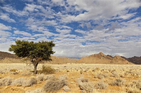 Africa, Namibia, Namib Desert, View of landscape in gondwana with Rand ...