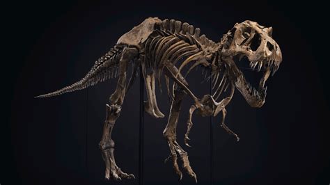 A T. Rex Skeleton Arrives in Rockefeller Center Ahead of Auction - The ...