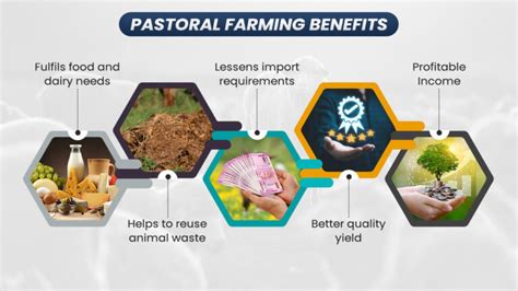 Pastoral Farming – An Ultimate Guide With Complete Details