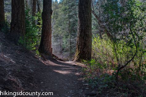 Doane Valley Nature Trail (Palomar Mountain State Park) - Hiking San ...