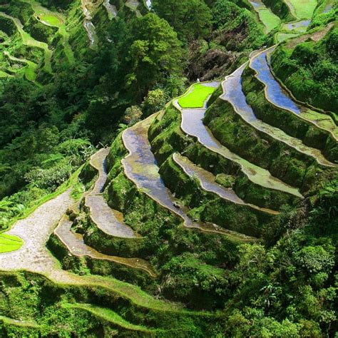 Save The Ifugao Rice Terraces In The Philippines - Join The Movement ...