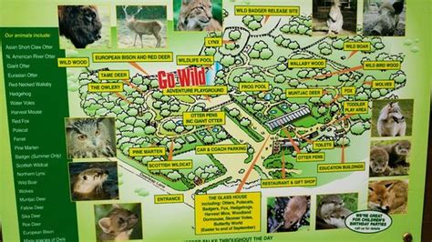 New Forest Wildlife Park (Ashurst) - 2021 All You Need to Know Before ...