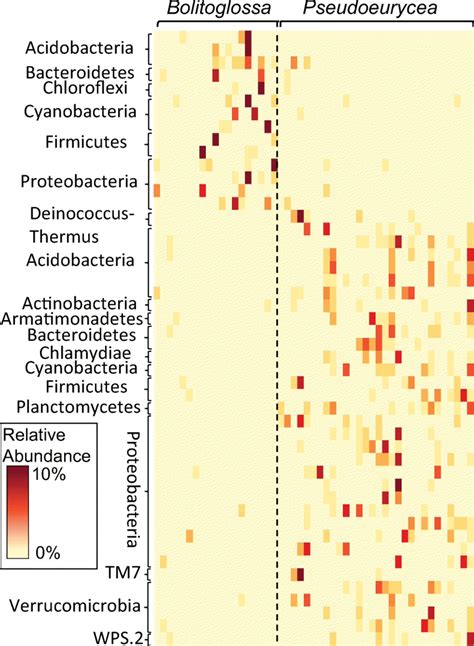 Indicator species analysis by salamander genus, showing differences in ...