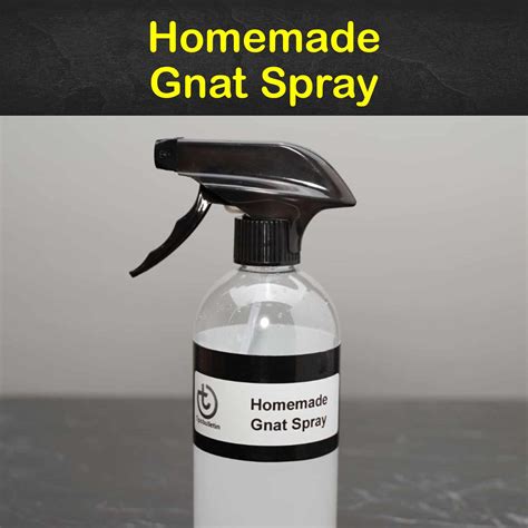 Homemade Gnat Spray - What Can I Spray to Get Rid of Gnats?