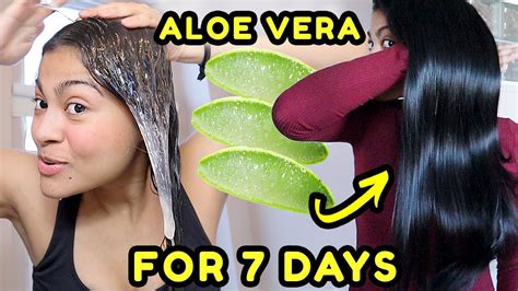 Top 184 + Aloe vera application on hair - polarrunningexpeditions