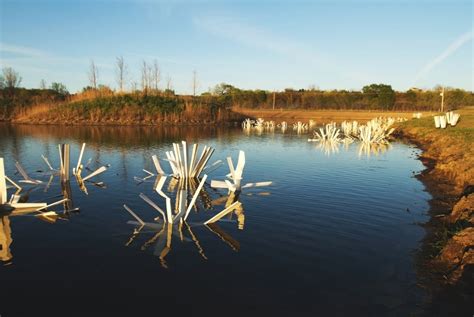 bluegill habitat Archives - StructureSpotStructureSpot