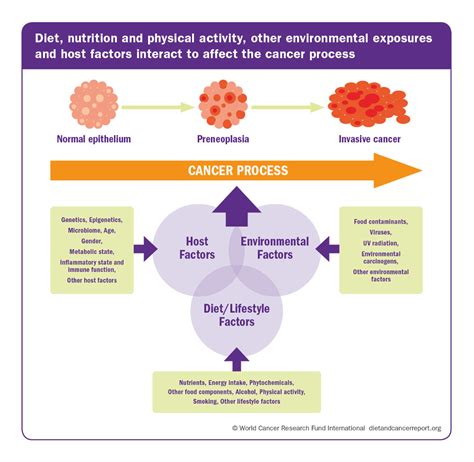 Dietary Causes Of Cancer