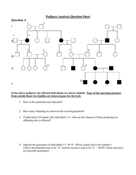 Answer Key Pedigree Worksheet : Genetics Pedigree Worksheet Answer Key ...