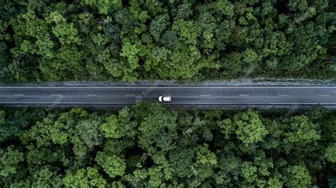 Premium Photo | Aerial view green forest and asphalt road Top view ...