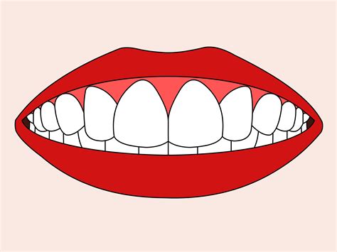 How to Draw Teeth: 11 Steps (with Pictures) - wikiHow