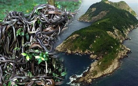 World’s Most Dangerous Islands – Top 8 List (Updated: 2020) | Island ...