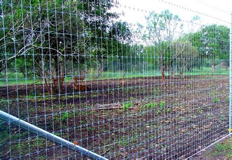 Pasture Fence Supplier in China - BDFENCE