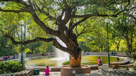 Kowloon Park in Kowloon | Expedia.ca