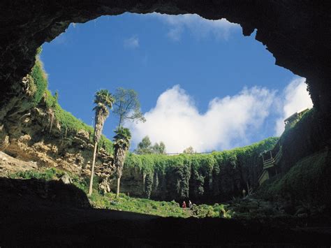 The Umpherston Sinkhole (or the Sunken Garden) is one of the renowned ...