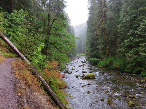 Places, Words, Dreams — Salmon River Trail, Oregon