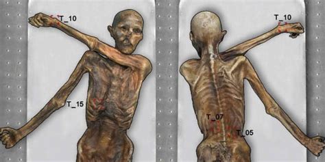 Ancient ink: Iceman Otzi has the world's oldest tattoos | Smithsonian ...