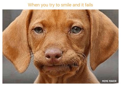 When you try to smile - I Has A Hotdog - Dog Pictures - Funny pictures ...