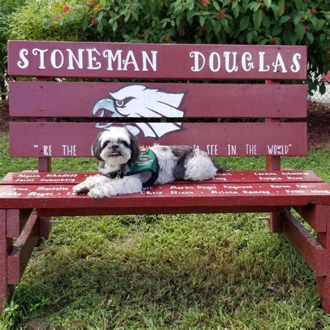 Marjory Stoneman Douglas Yearbook Honors Parkland School's Adorable ...