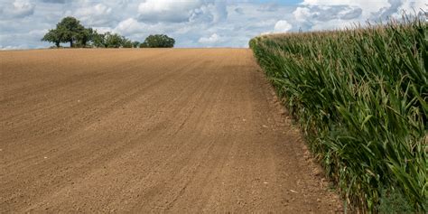 Maize Cultivation: Maps of Accumulated Temperatures Support the Choice ...