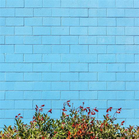 Blue Brick Wall Photograph by Sqwhere Photo - Fine Art America