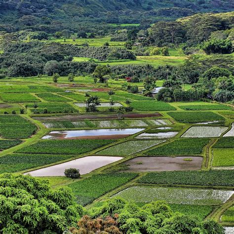 Hanalei Valley Lookout - All You Need to Know BEFORE You Go (2024)