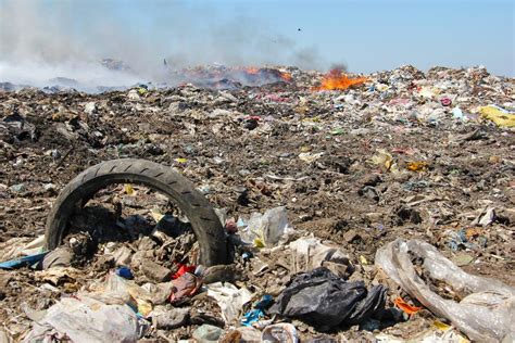 Contaminación del suelo: causas, consecuencias y soluciones - Resumen